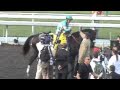 Unbelievable...Zenyatta wins 2009 Breeders Cup Classic