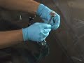 Glass Technology Spectrum Windshield Repair