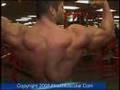 MostMuscular.Com - Chris Jalali posing