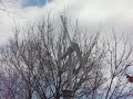 Diy wind turbine Diy wind turbine