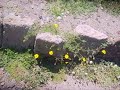 subiendo ala piramide