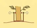Christmas Tree Stands