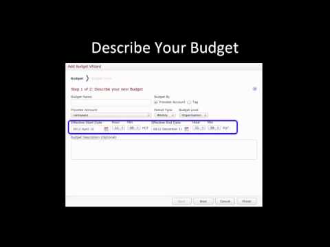 how to control budget costs