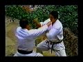 Bunkai do Tekki Sandan