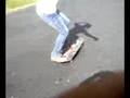 Kick Flip Dog Town Style Board