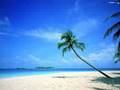 Nalin and Kane - Beachball (Myon and shane54 Remix)