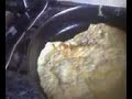 Me Flippin An Omlette