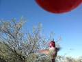 videos de Wired again 