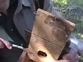 Nestbox Monitor Training: How to check a hanging nestbox Nestbox Monitor Training: How to check a hanging nestbox