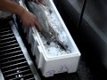中華料理レシピ すずきのウロコのとり方 お魚料理
