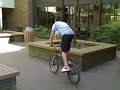 Dakotah Bmx 2  201 bmx
