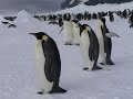 Blizzard sur l\