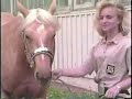 Young Horse Management: Pivoting and Turning, from eXtension