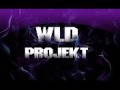 WLD PROJEKT- Realia Miasta