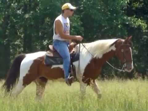 runners and riders