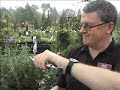 September Pruning and Gardening Advice September Pruning and Gardening Advice