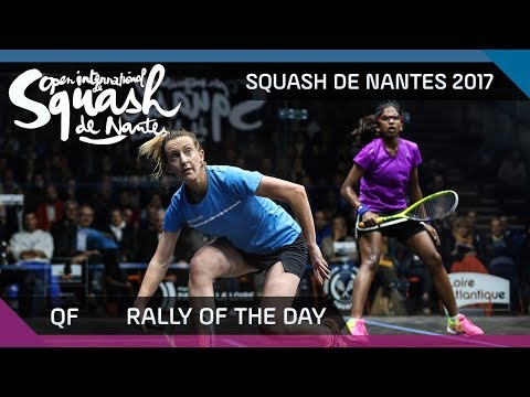 Squash: Rally of the Day - QF - Squash de Nantes