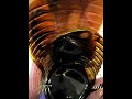 Ferrofluid 2
