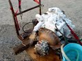 kubota diesel, atomic4 kubota diesel, atomic4