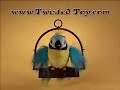 Polly the Insulting Parrot Demo