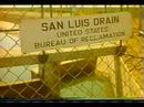 Californias water web Part 10