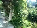 Villa Ormond Sanremo -Giardini e Parchi della Liguria