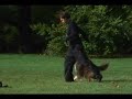 Dogdancing zu Pulp Fiction Dogdancing zu Pulp Fiction