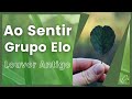 Assistir ao v�deo