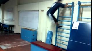 PARKOUR CAT