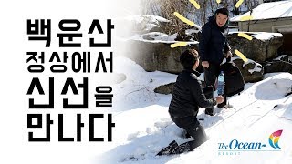 2019 백운산 고로쇠 이야기