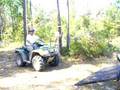Getting on the trailer
