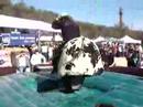 RODEO