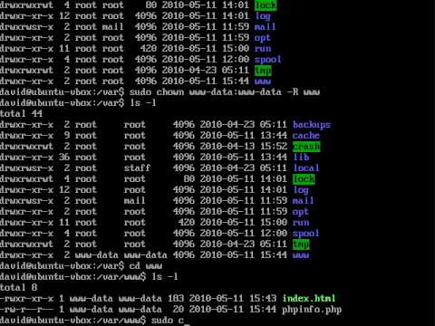 File permissions