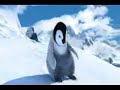 happy feet doing a yemeni dance. ksa uae arab اليمن shaibi  alshaib