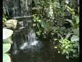17022008-hirschstetten-palmenhaus-wien.html