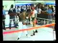 nigel benn and roberto duran having an exibition sparr