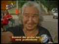 Girafas vivem tri�ngulo amoroso - Marcus Marinho/ Aqui Agora