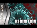 eXcubitors - Reduktion
