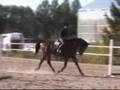 BellMan efter Marwin-Falleur