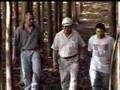 MARSSE Tropical Timber Plantations