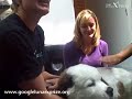 Beasley Visits the Office