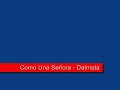 Como Una Se�ora - Dalmata