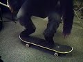 bobbys funny kickflip indy trick tip