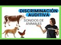 Los sonidos de los animales