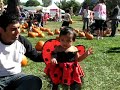 Neeti Pumpkin in the Park