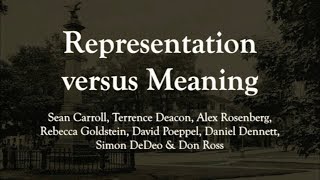 Meaning versus Representation: Sean Carroll et al
