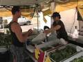 Buying locally grown food through CSAs