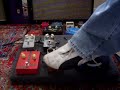 Fuzz Face Shootout