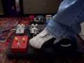 Fuzz Face Shootout