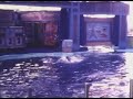 Sea World